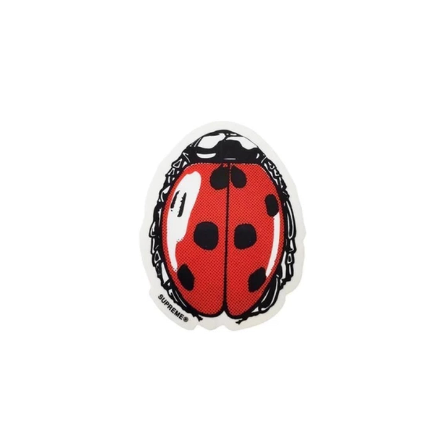 LadyBug Sticker, Sticker- dollarflexclub