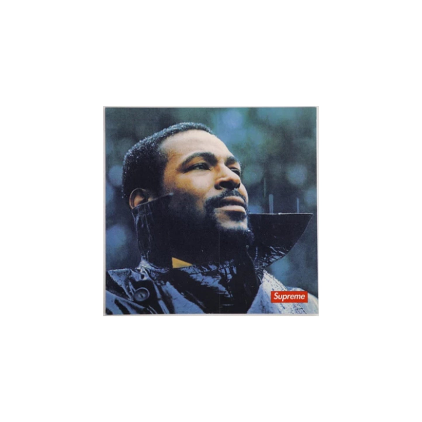 Marvin Gaye Sticker, Sticker- dollarflexclub